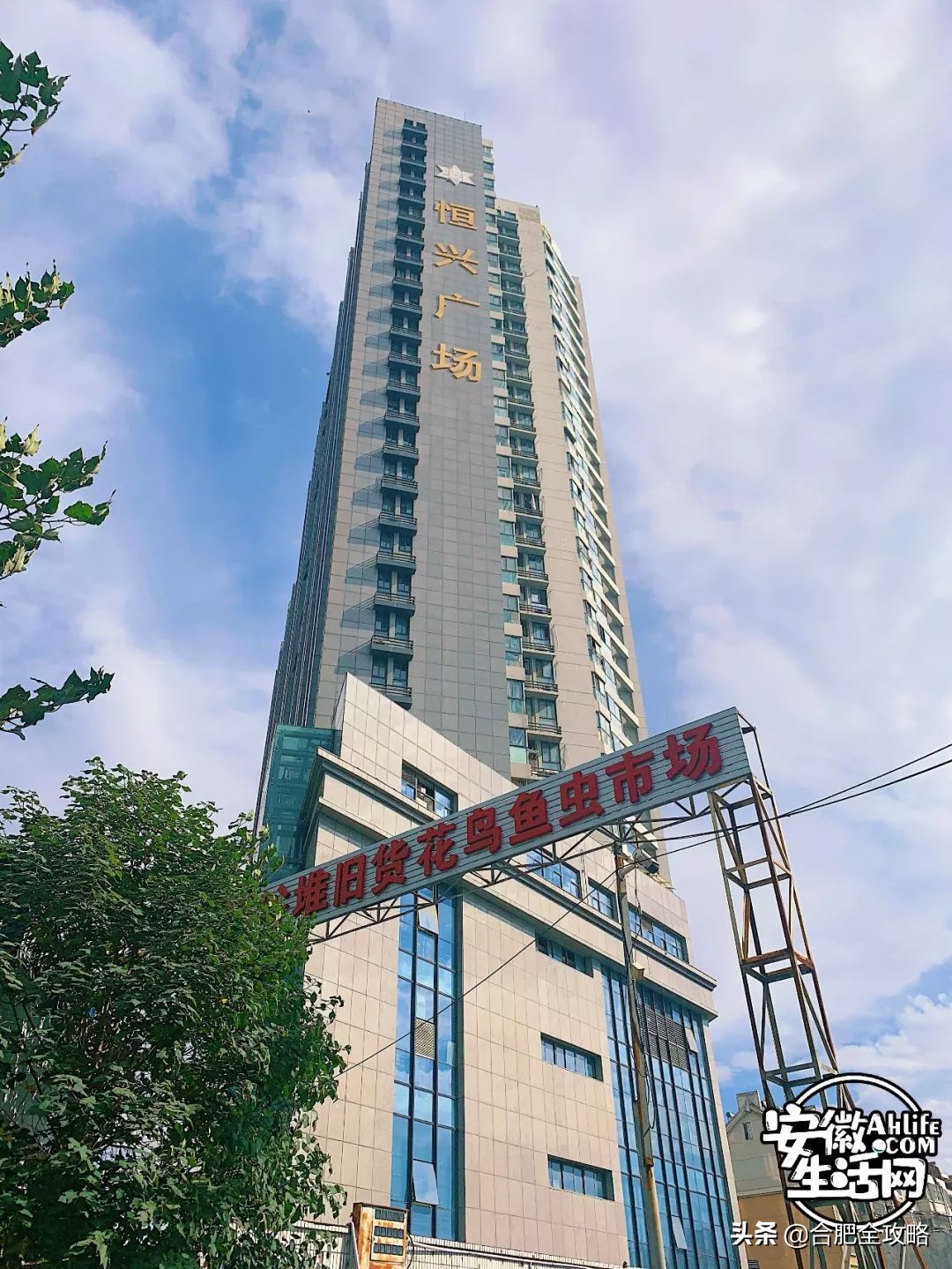 老周谷堆水果批发市场,老周谷堆古玩市场