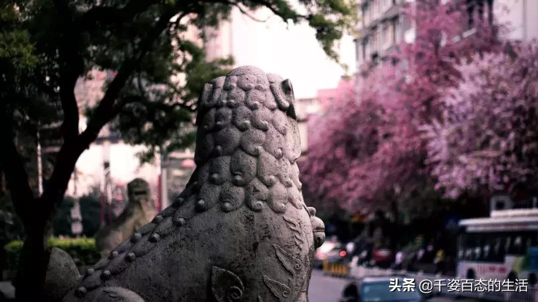 广西低调小城竟然藏了个小奈良,广西有座低调的养老小城