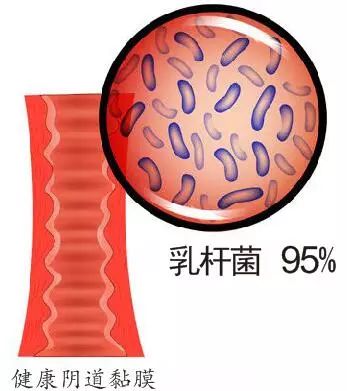 分泌物有变化吗,分泌物是每天都有吗