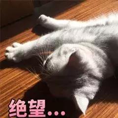 手帐的十大问题,盘点新手入门手帐容易踩的坑