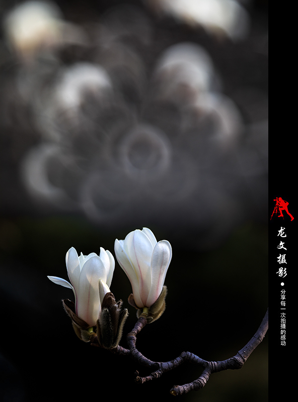 灏煎悍澶氶噸鏇濆厜鏁欑▼,浣宠兘澶氶噸鏇濆厜鏁欑▼