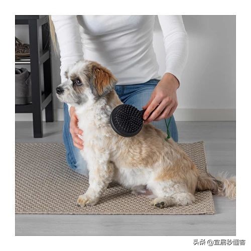 宜家最好用的宠物,宜家中可以给宠物购买的物品