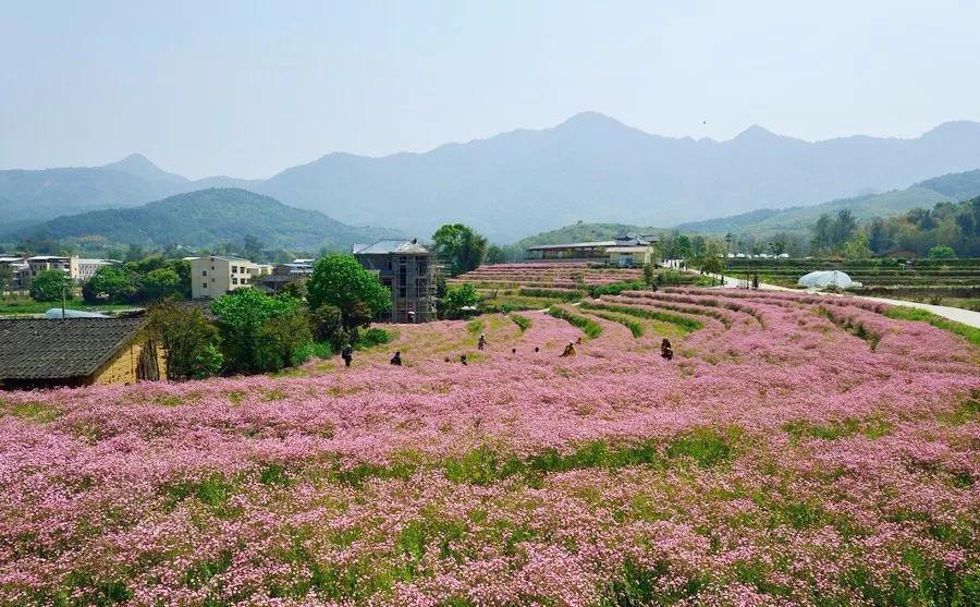 福州十大免费景点,福州网红景点免费