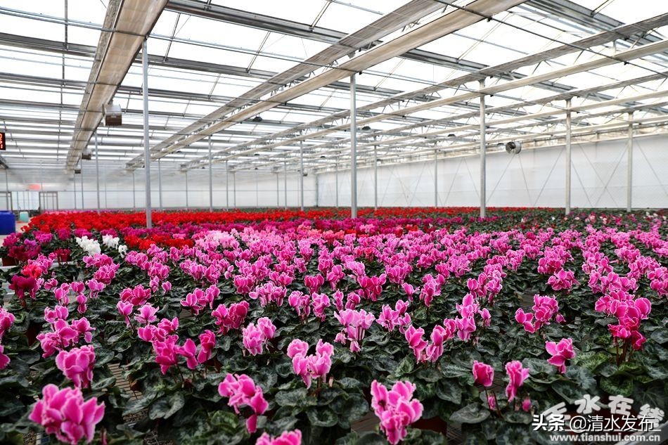 2021贵阳市三大攻坚战,高质量高标准打好攻坚战