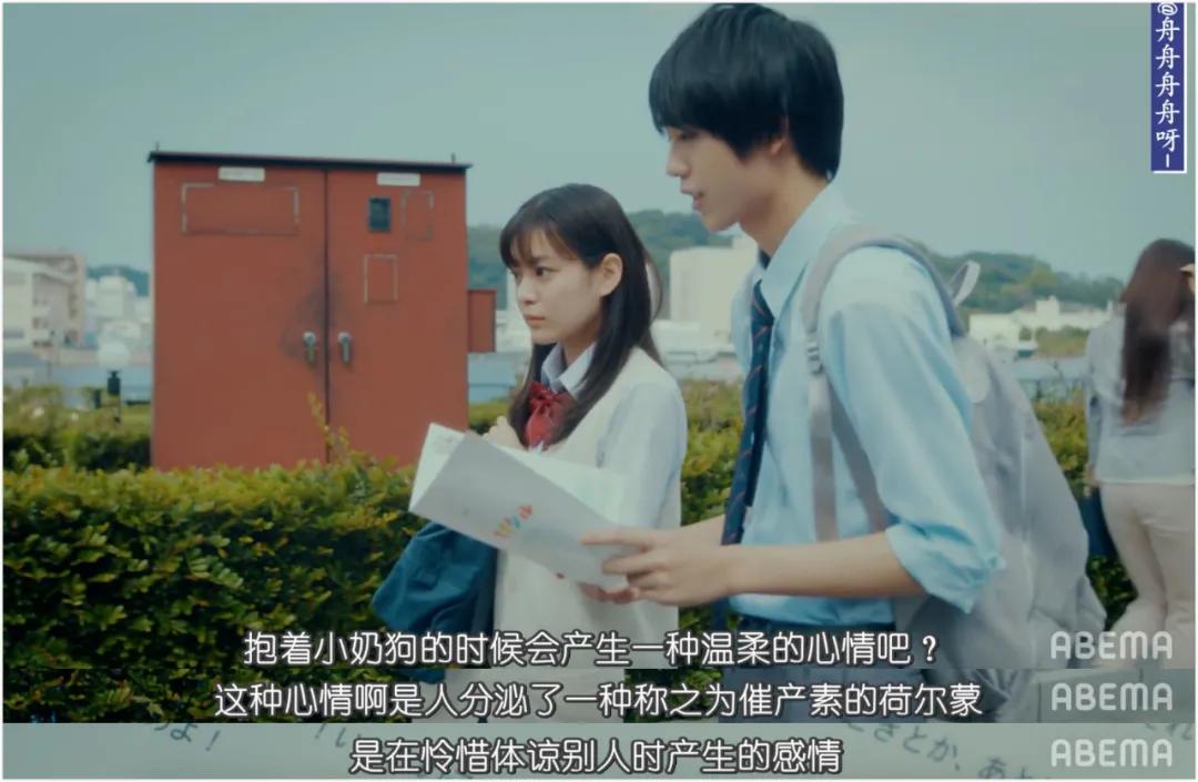豆瓣9.1，岛国版《性教育》，所有青少年都应该看看