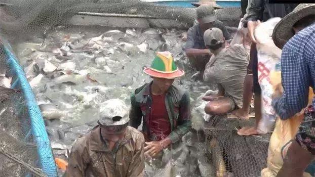 缅甸高温已持续超50度,缅甸天气灾害