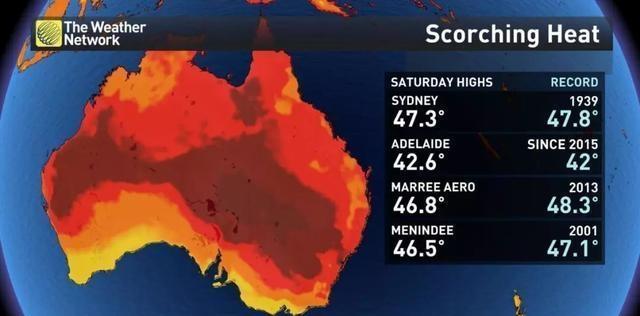 人类反思,人类对环境危机的反思