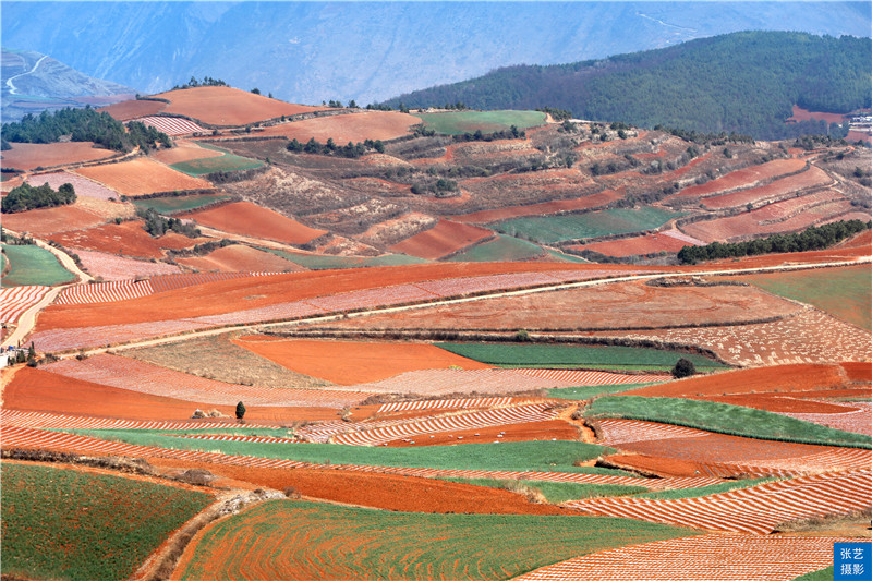 云南红土地共有几个景点,最美云南之东川红土地