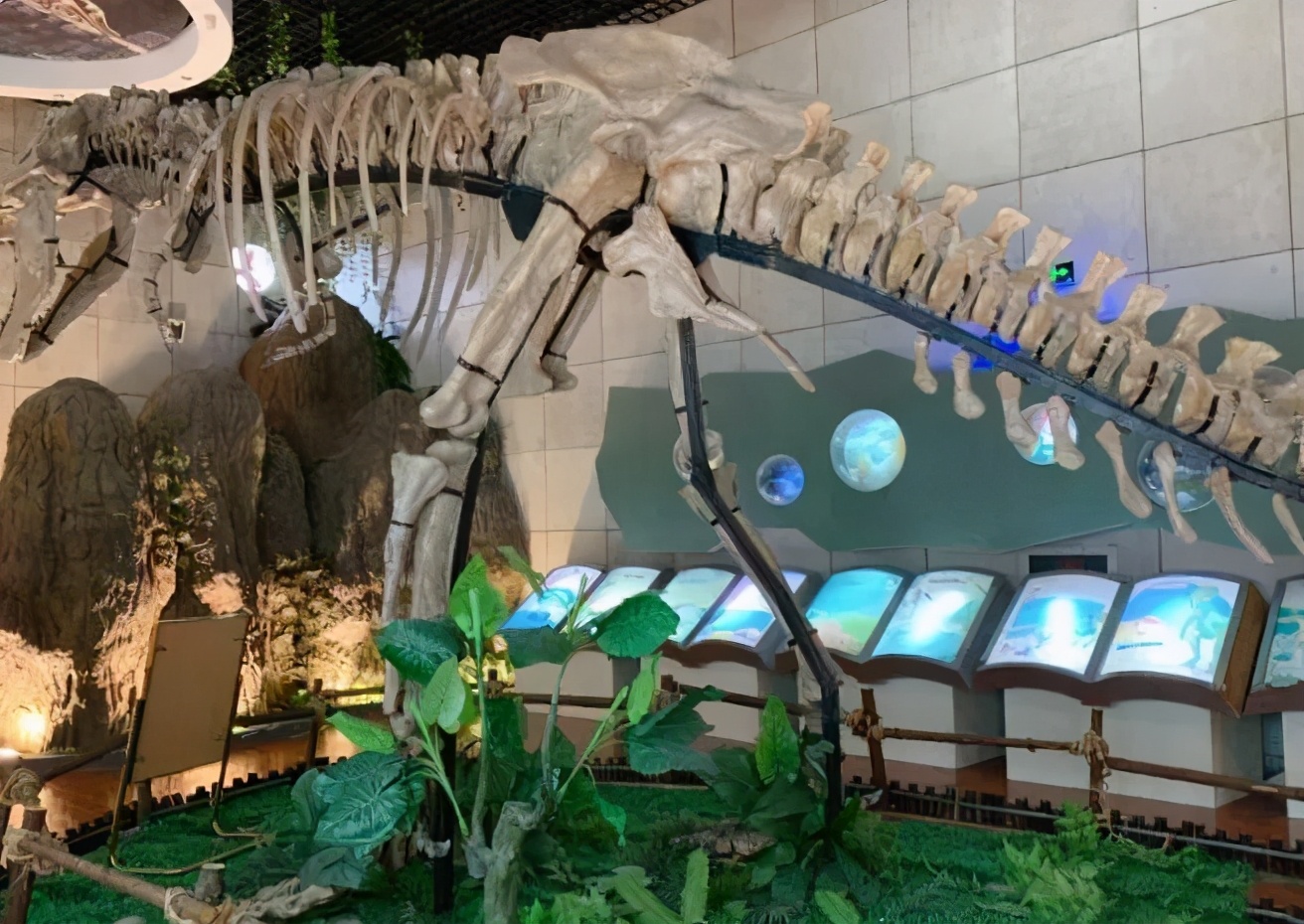 独家整理！青岛周边游最全攻略！自驾3小时内，人少景美还不贵！