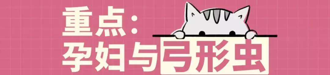 怀孕了还是想养猫猫狗狗怎么办?华西专家:可以养,但绝不能随便养!