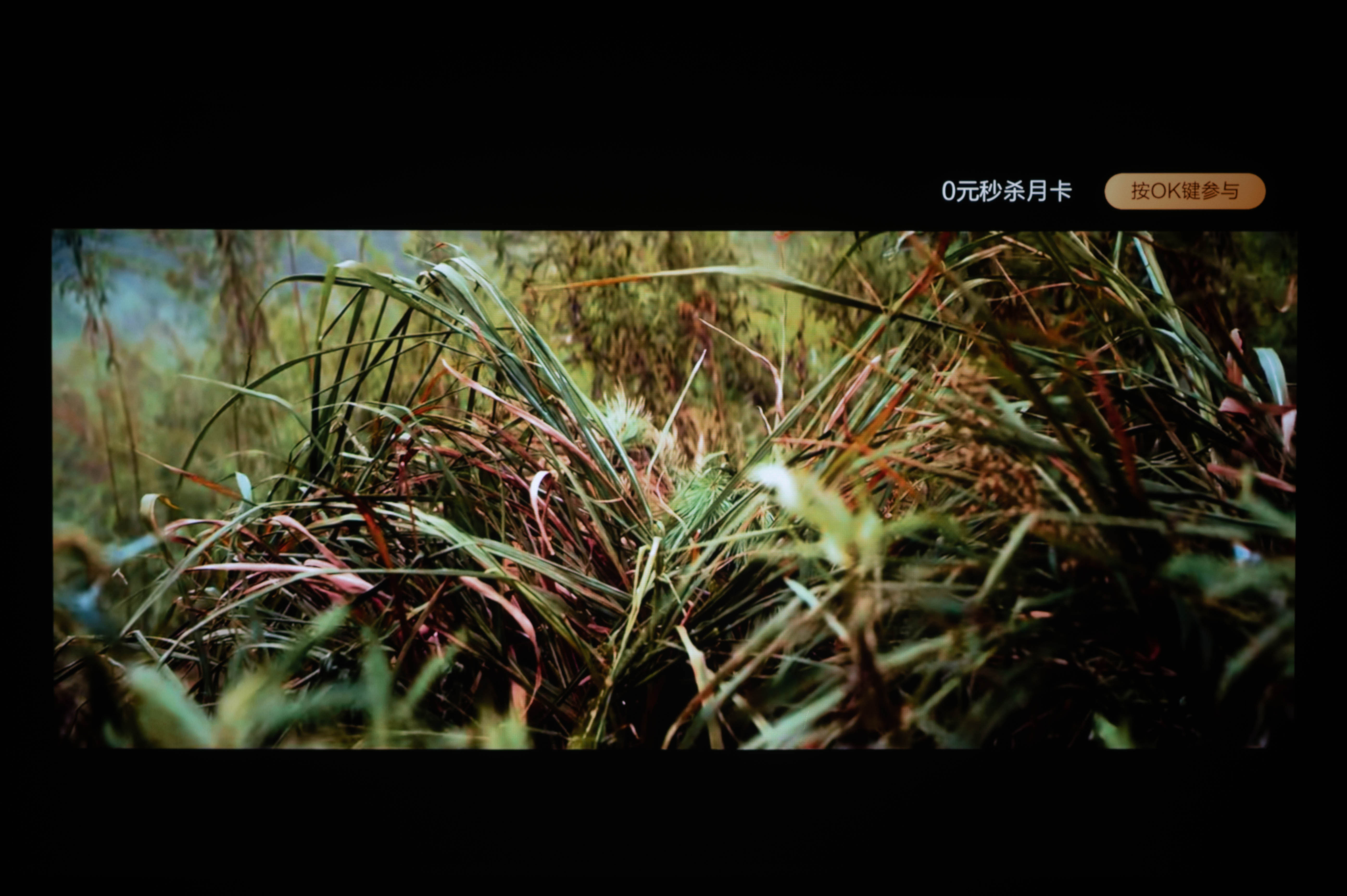 明基爱普生优派投影仪,优派明基爱普生投影仪