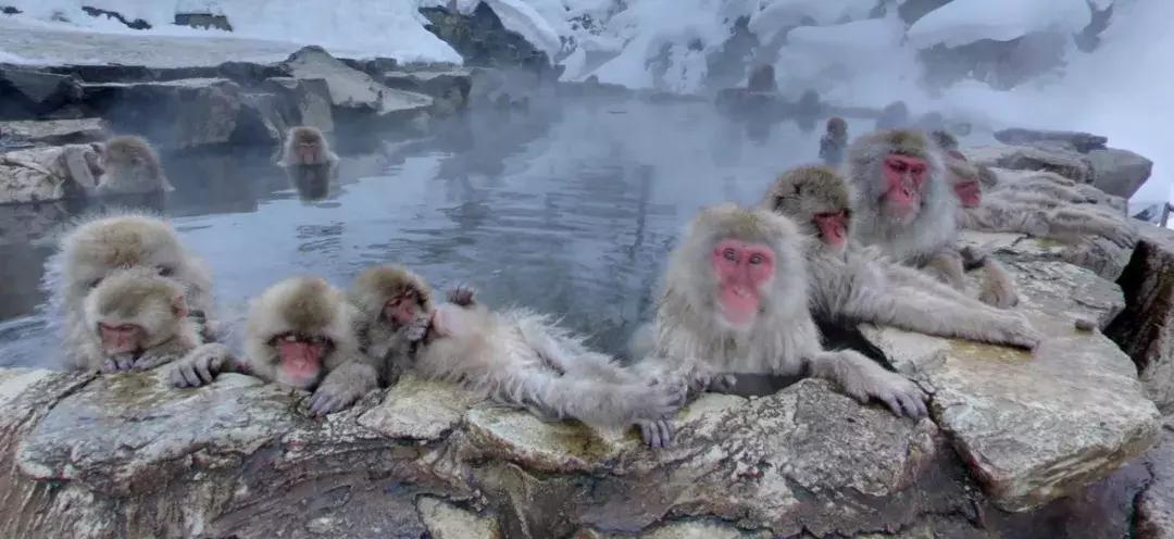 和数学博士的浪漫温泉之旅，他教会了我这些数学知识！