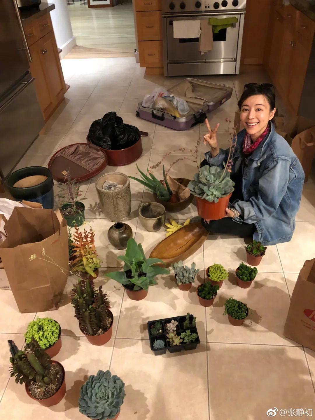 消失6年后,张静初单身生活首曝光!独居大House,与满屋破烂作伴