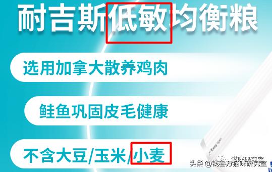 耐吉斯猫粮国产,台湾耐吉斯猫粮