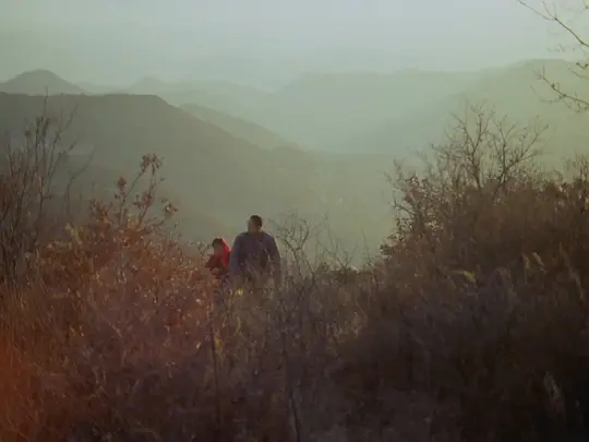 电影史上传奇之作,电影史上最经典的传奇
