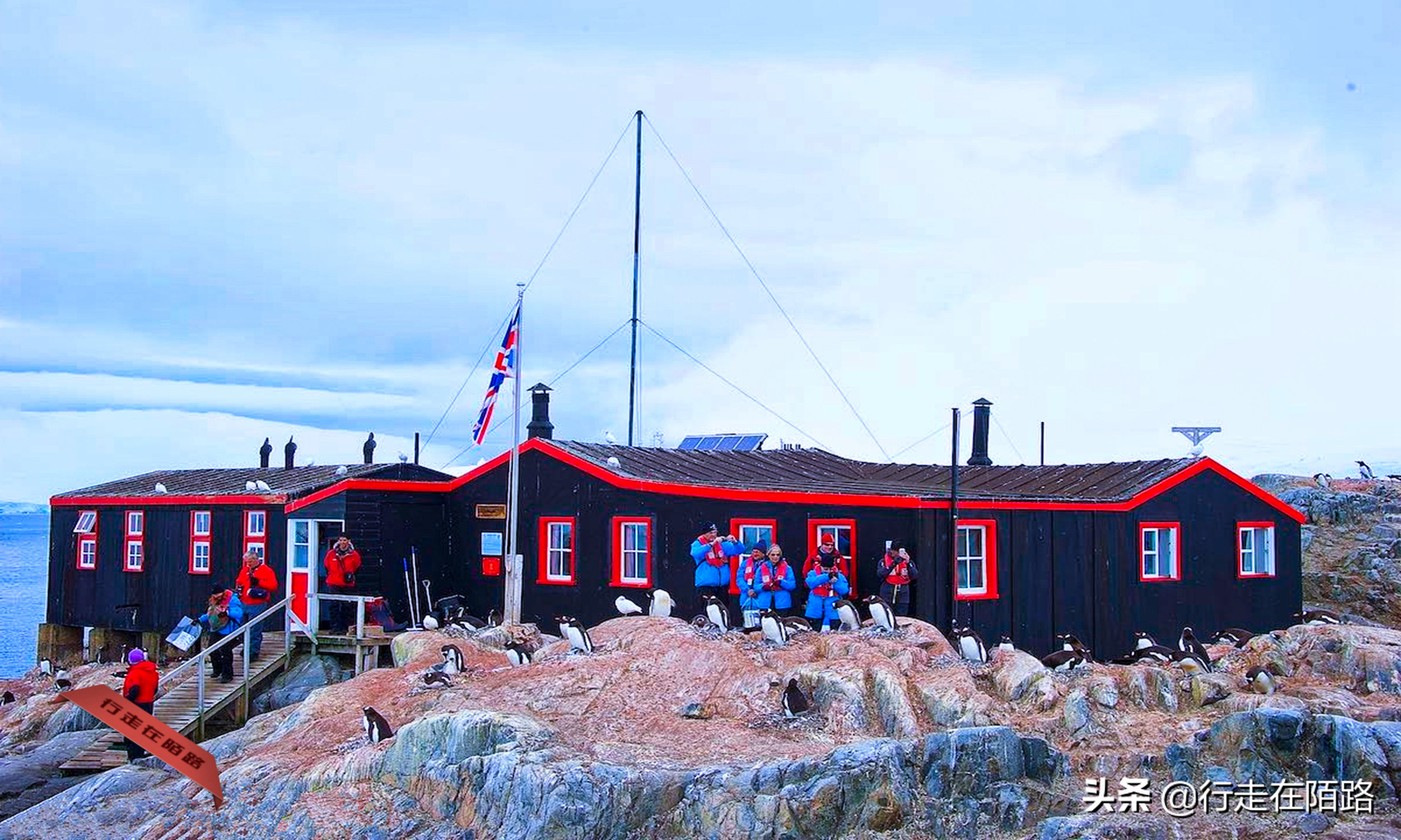 铲屎官的工资,铲屎官工资一天多少钱