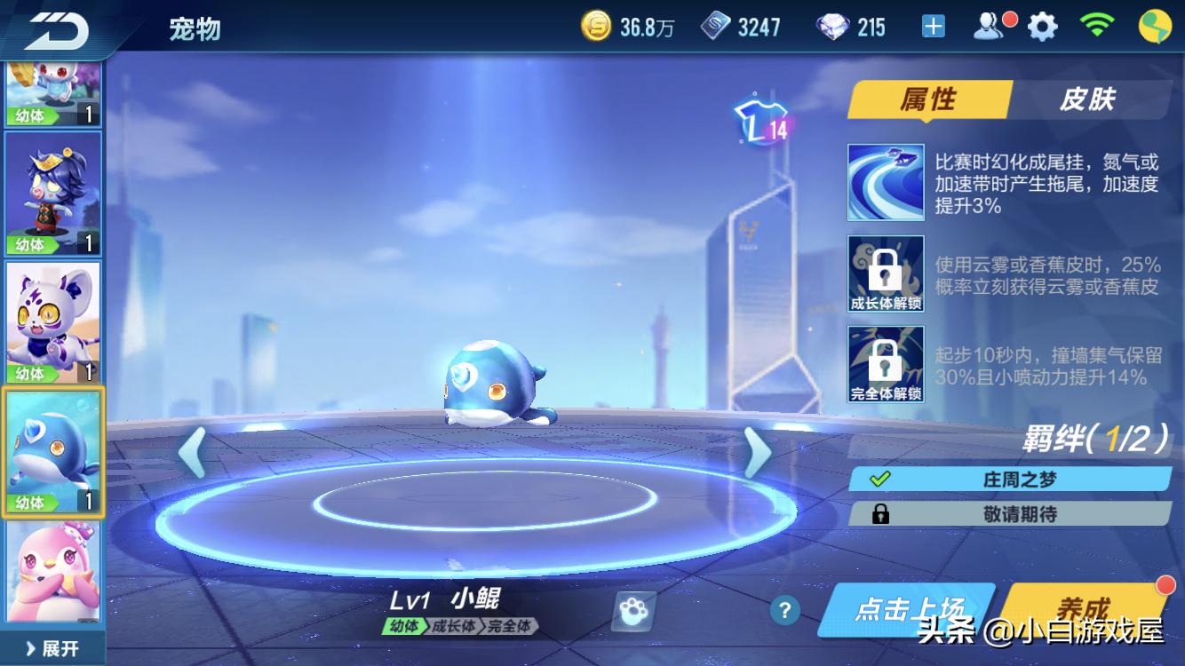 QQ飞车手游：道具宠物排名，秘境宠占据大半江山，别再说傻宠了