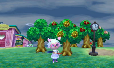 动物森友会什么时候能刷新,15年斯巴鲁森林人老款