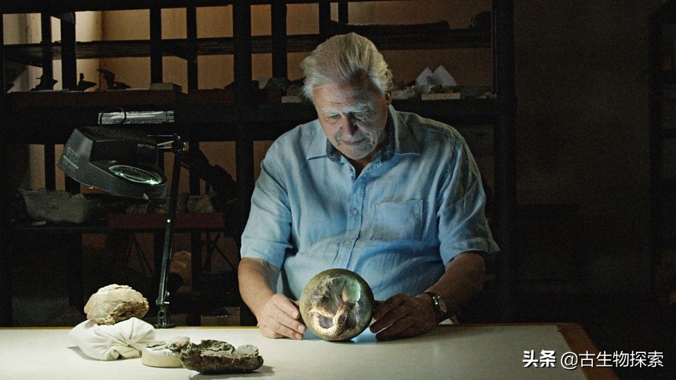 泰坦龙是最大的恐龙吗,世界上最高的恐龙是泰坦巨龙吗