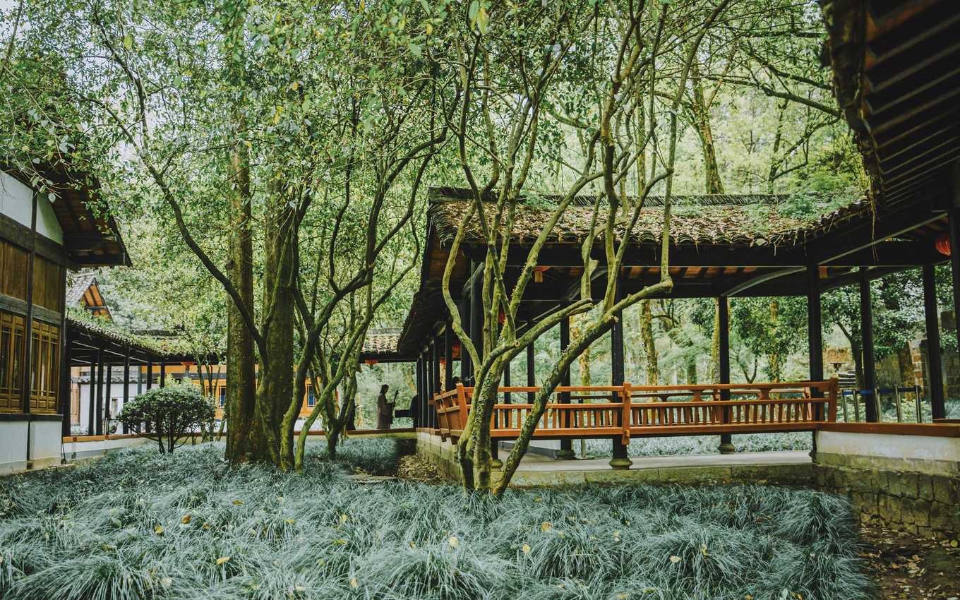 江浙沪藏在桐庐的绿野仙踪,浙江桐庐秘境山水