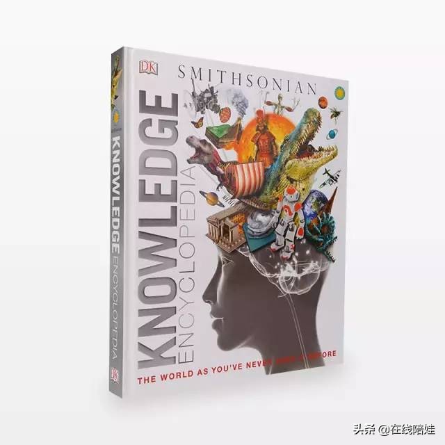 dk知识大百科全套,dk知识大百科书金银版