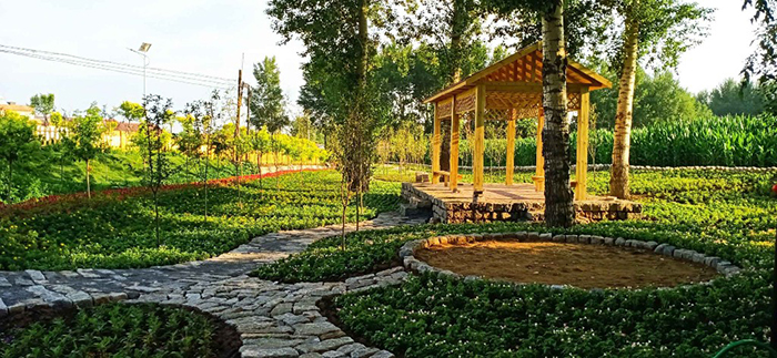 因鹿而生,以鹿而兴,长春市盘古屯打造美丽乡村样板