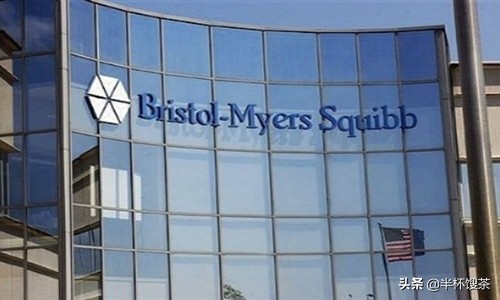 施贵宝医药,中美施贵宝制药公司怎么样