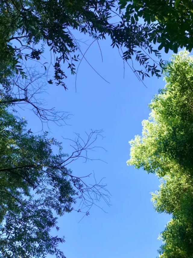 拿来主义的论证思路80字,浅谈拿来主义