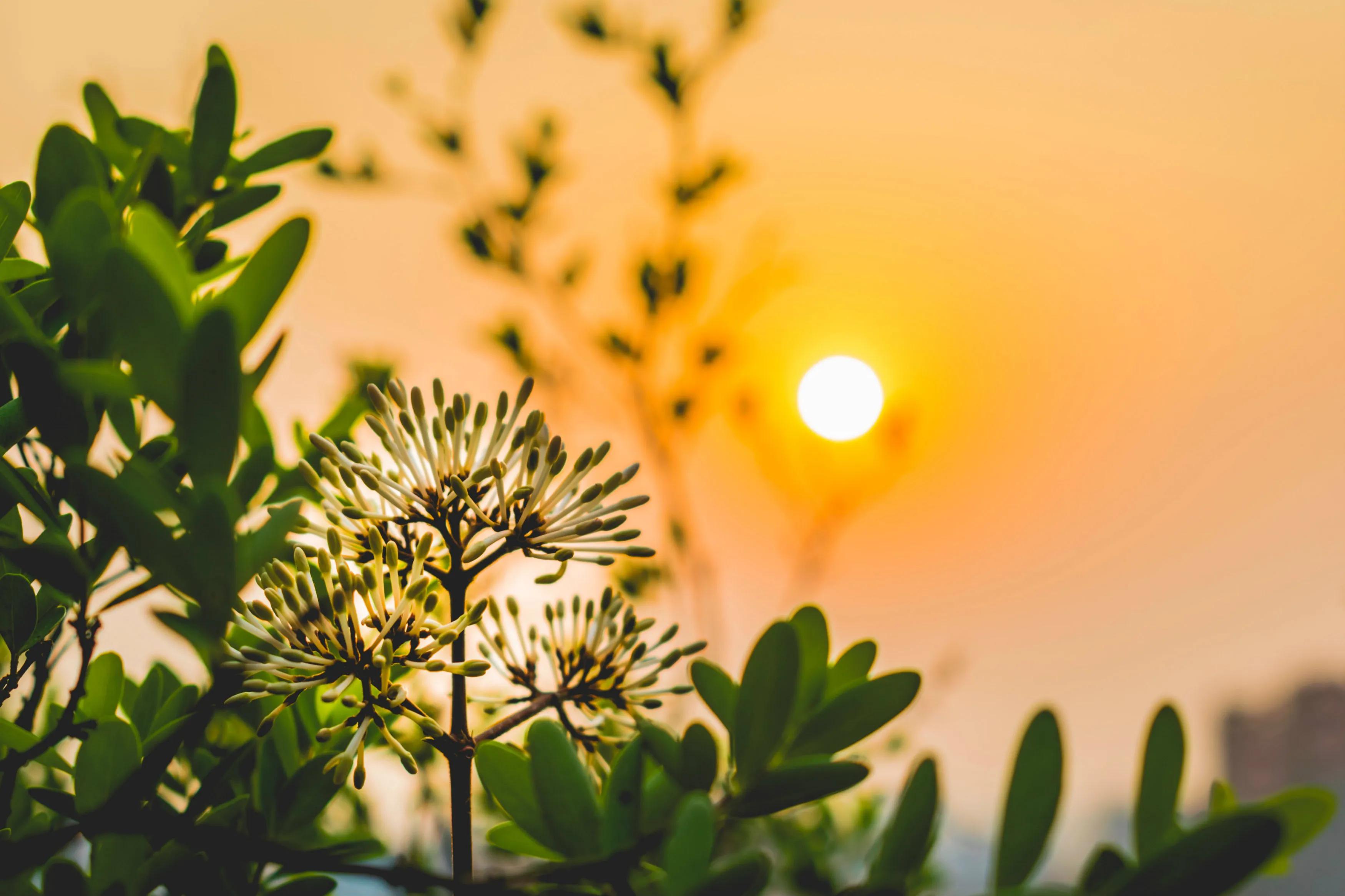 写庐山的唐诗,唐诗庐山瀑布