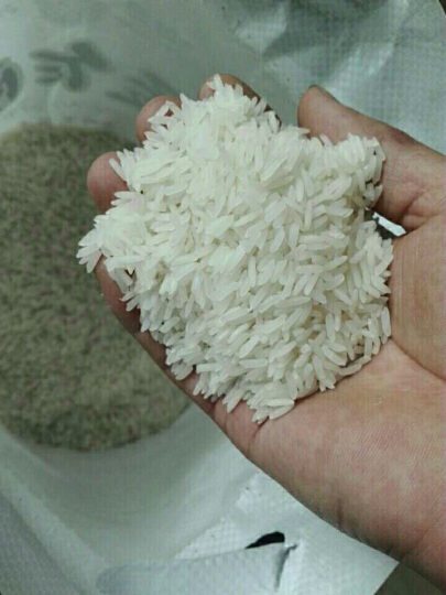 娉板浗杩涘彛涓浗澶х背,娉板浗澶х背鍑哄彛浠锋牸涓婃定