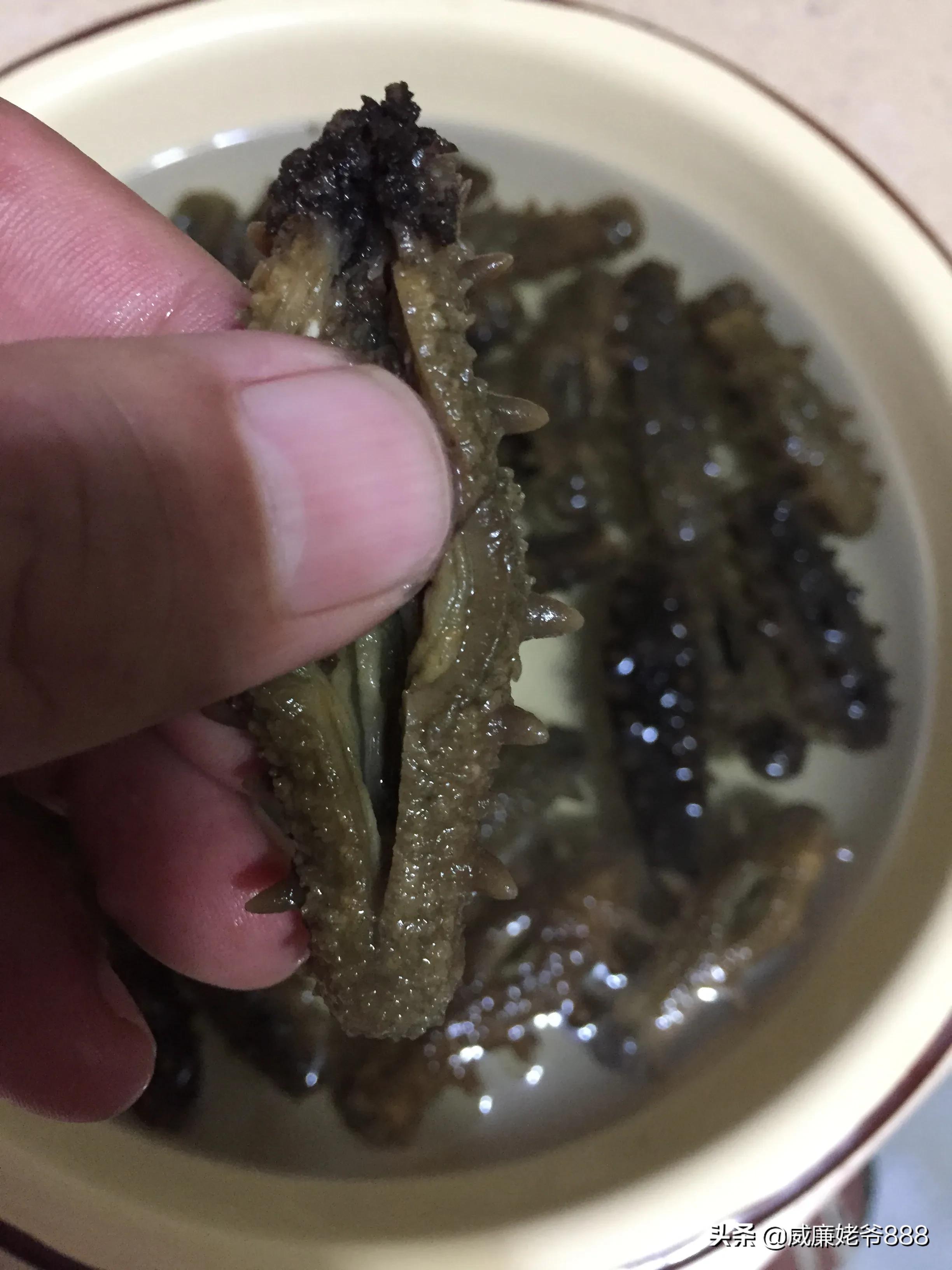 家庭葱烧海参怎么做最好,制作葱烧海参的方法