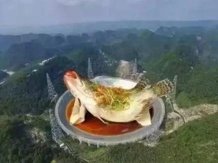 中国射电望远镜能发现外星人吗,太空探索射电望远镜