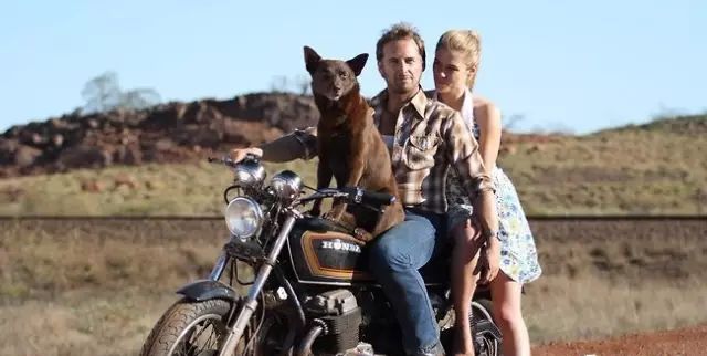 婢虫床缁忓吀鍠滃墽鐢靛奖澶у叏,婢虫床绾㈢姮鐢靛奖