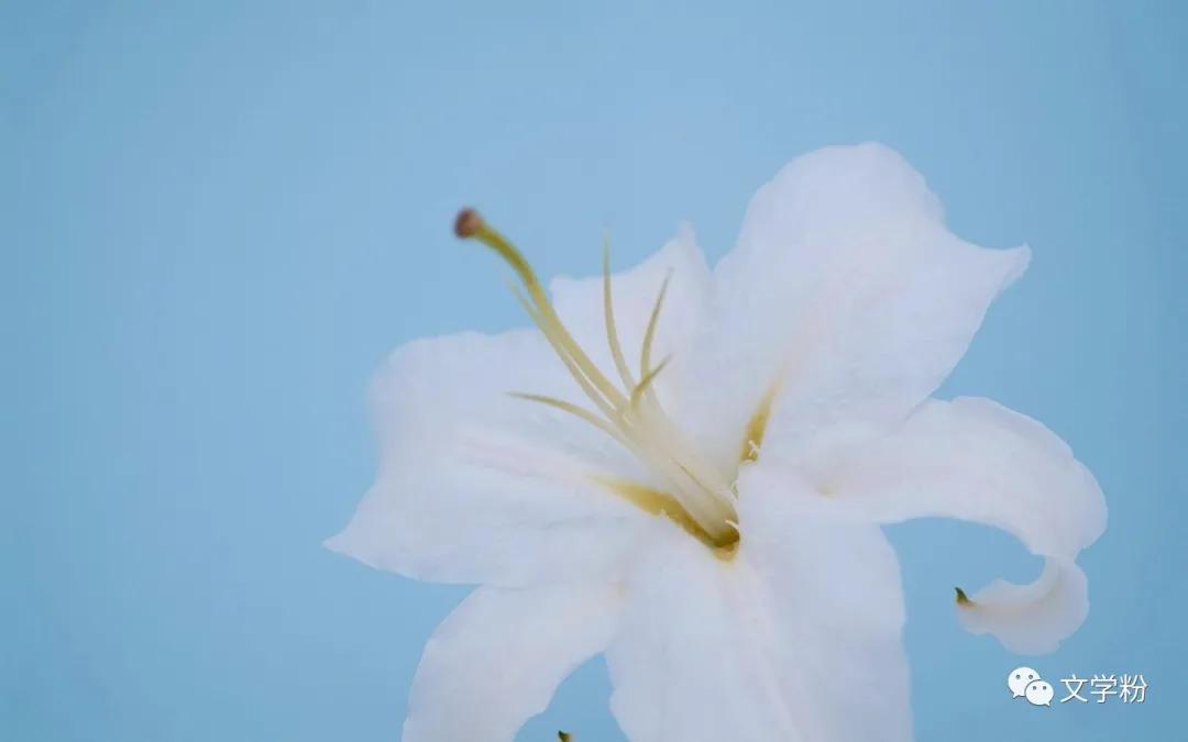 充满意义的高质量文案,高质量有深度的文案