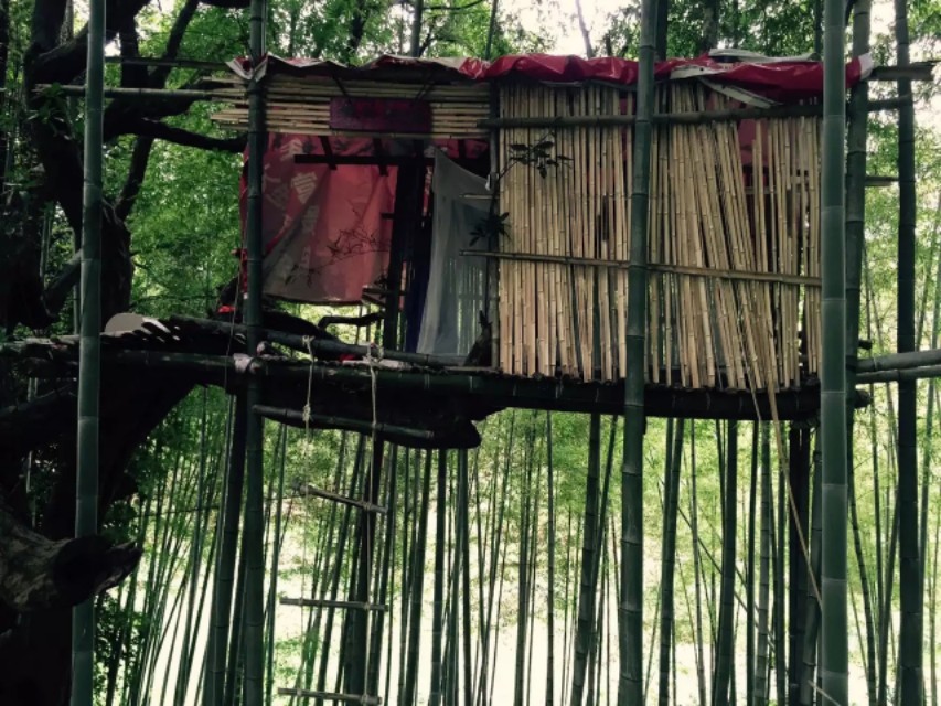 颓废八年的网虫，如何变身街健达人，还受到国家体育总局的关注