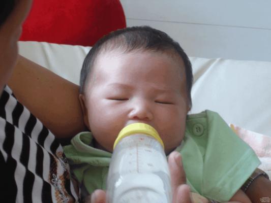 鲸鱼是哺乳动物为什么不能离开海,鲸鱼哺乳动物生活在海洋中