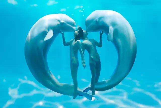 哈尔滨适合老人旅游的景点,哈尔滨十佳景区