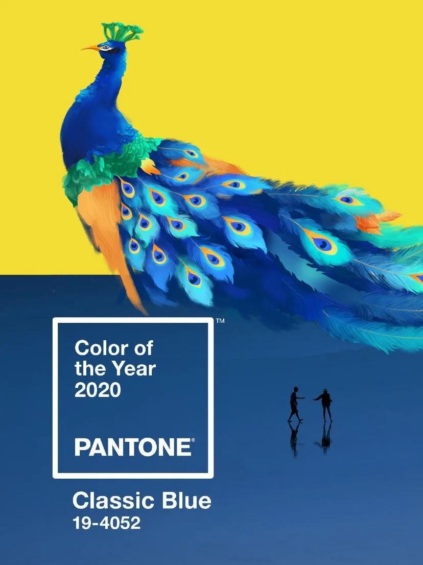 PEACOCK|爱是一千件与孔雀蓝有关的小事