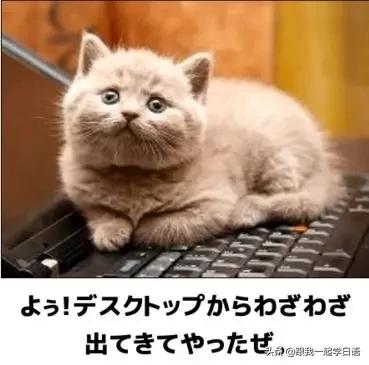 趟水和蹚水有什么不同,田薯和山药有什么不同