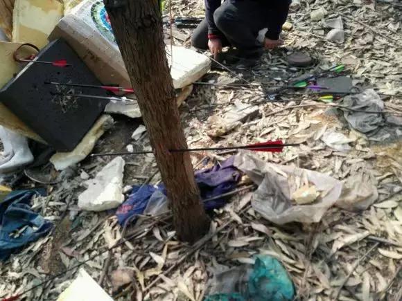 古代战争为何不用箭射马,古代打仗马不怕箭射吗