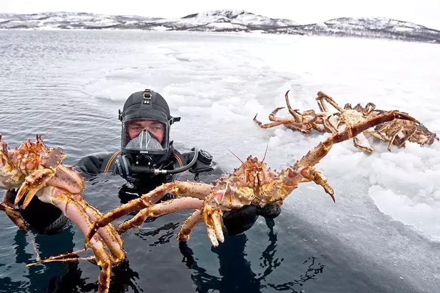 如果你想去欧洲滑雪,第一次去北欧旅行