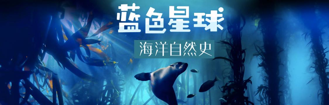 西瓜视频动物世界纪录片,动物园100种常见动物纪录片