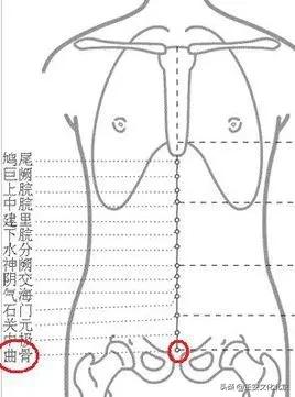 祛湿穴位排行榜第一名,去寒去湿的穴位