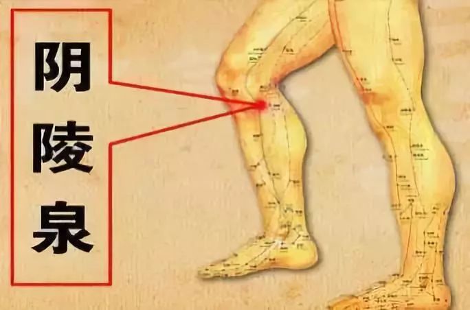 健脾祛湿化痰按摩什么穴位,按摩祛湿热的穴位在哪