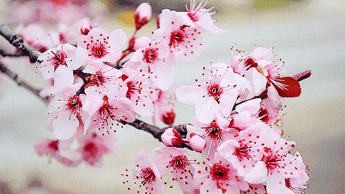 春节连江旅游攻略,去连江必玩的十大景点