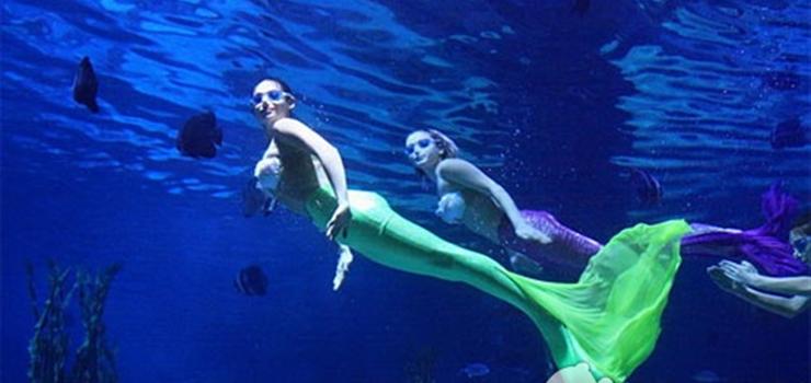 杭州海洋极地公园游玩攻略,杭州极地海洋公园游记