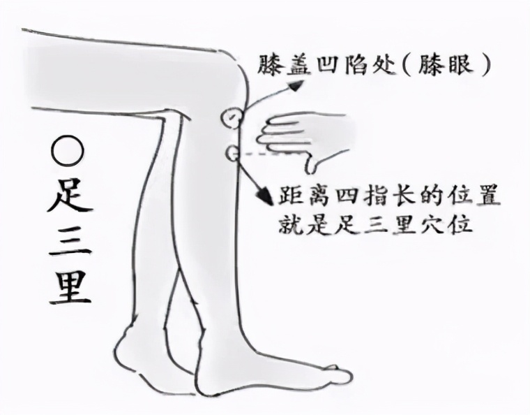 病后虚弱心悸无力怎么调理,突然心慌手抖身体无力出虚汗中医