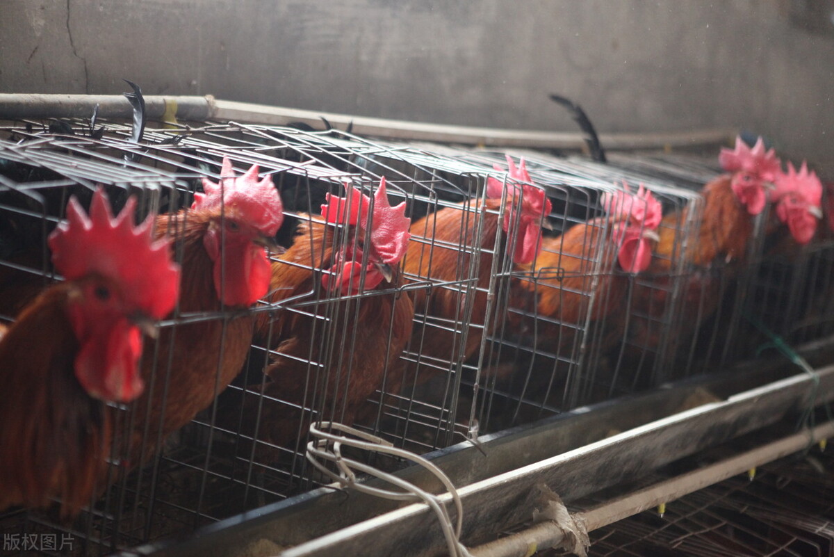 2021襄阳重大项目名单,襄阳市2021年第四季度重大项目