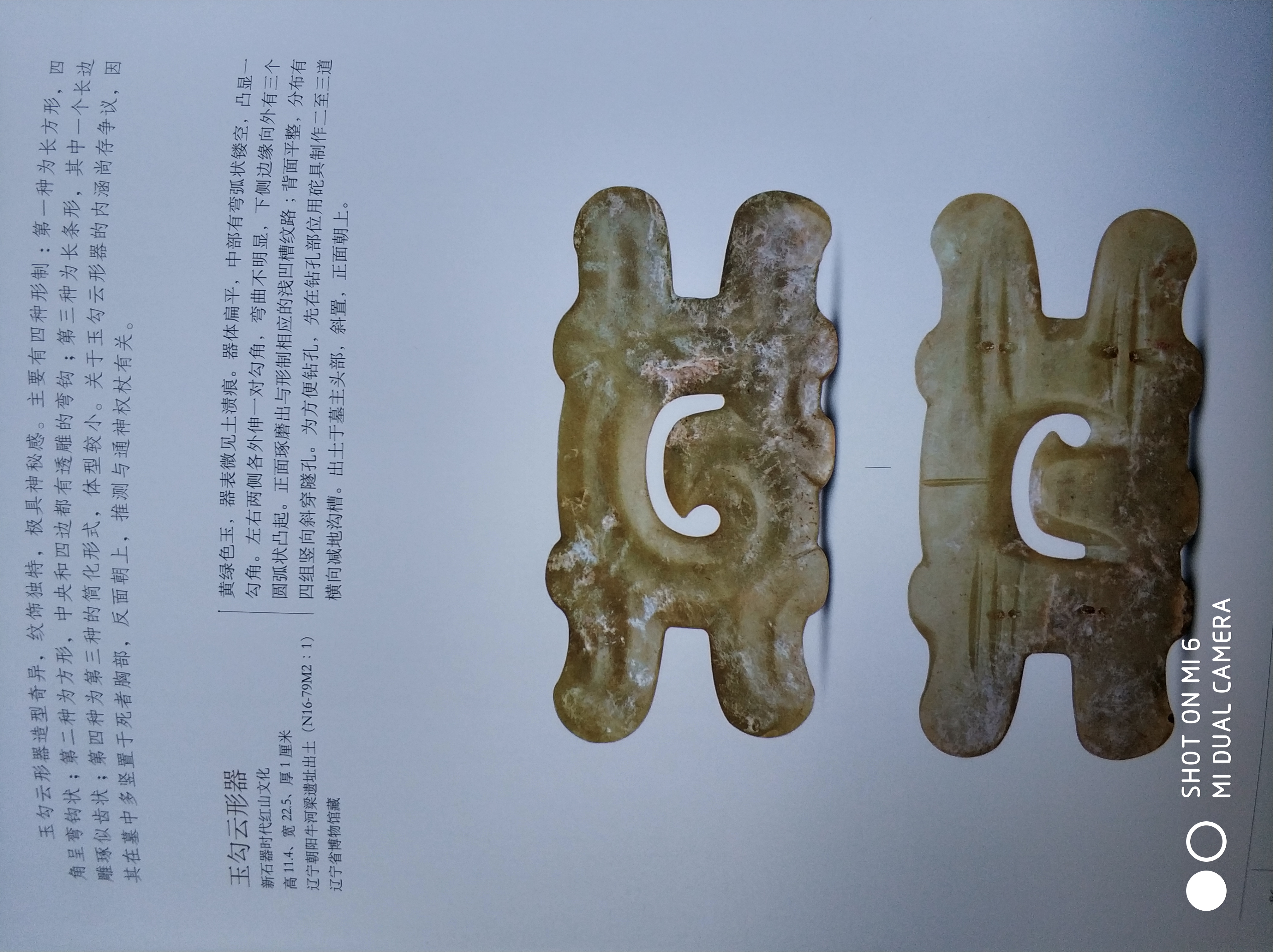 中国龙原型,中国龙的原型是什么