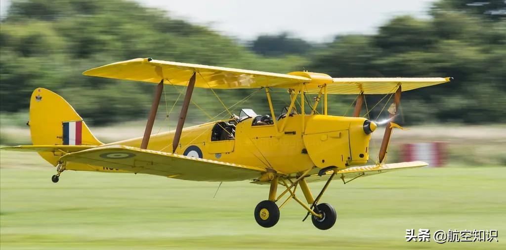 飞机制造商对动物的喜爱到底有多深?——德哈维兰加拿大